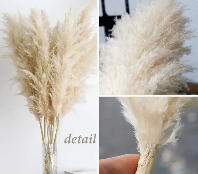 Original representative commercial visual for Hot Selling Pampas Grass Wreath Natural Dried Flower Decor for Chinese New Year Easter Real Decorative Grass in Plastic Bag.