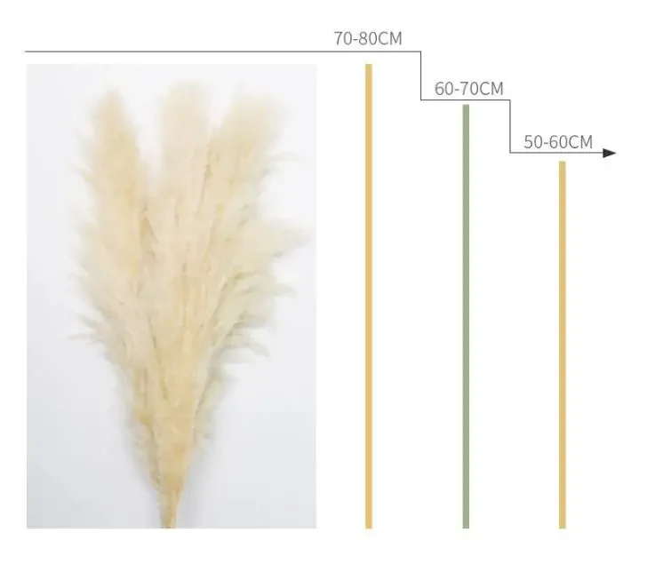 Original representative commercial visual for Hot Selling Pampas Grass Wreath Natural Dried Flower Decor for Chinese New Year Easter Real Decorative Grass in Plastic Bag.