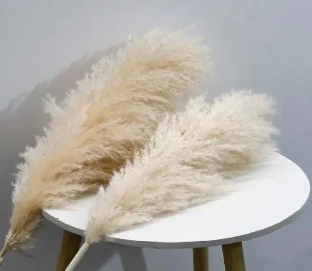 Original representative commercial visual for Hot Selling Pampas Grass Wreath Natural Dried Flower Decor for Chinese New Year Easter Real Decorative Grass in Plastic Bag.