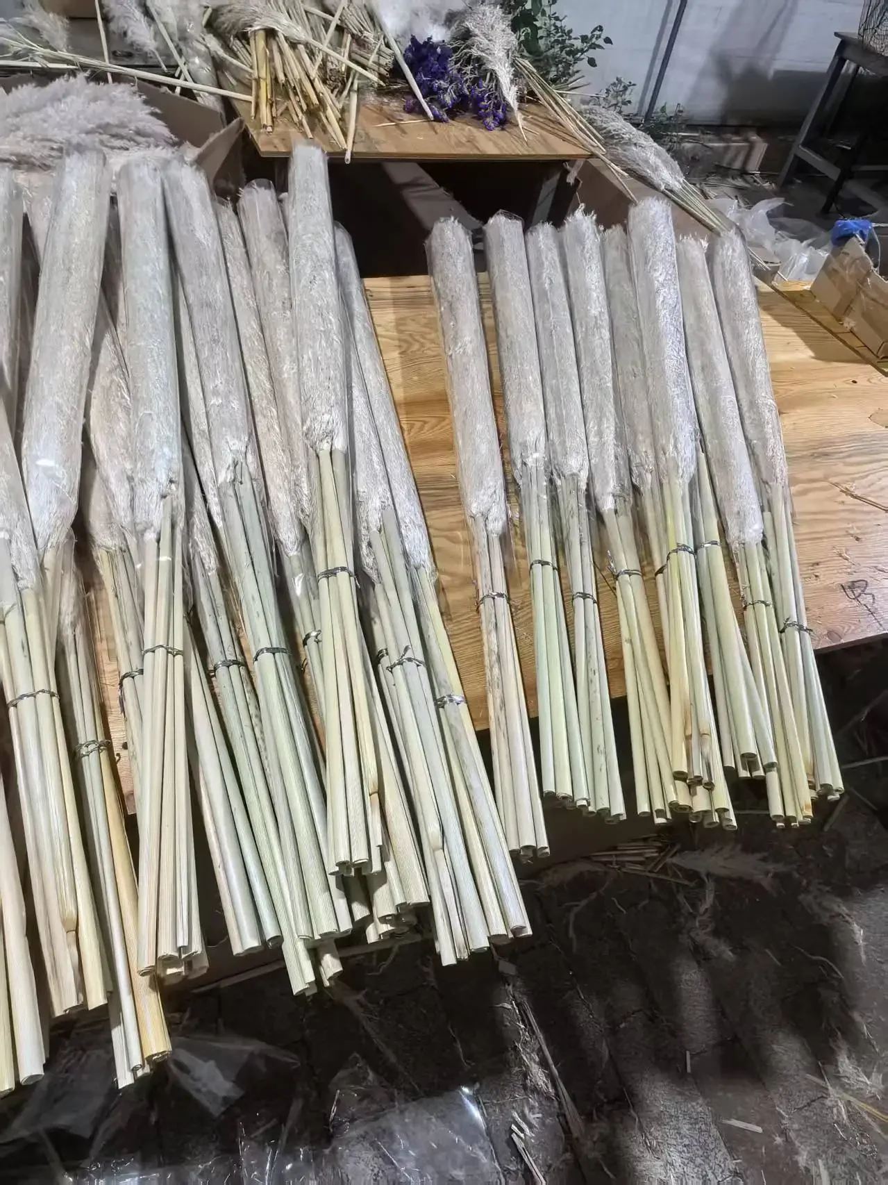 Original representative commercial visual for Hot Selling Pampas Grass Wreath Natural Dried Flower Decor for Chinese New Year Easter Real Decorative Grass in Plastic Bag.