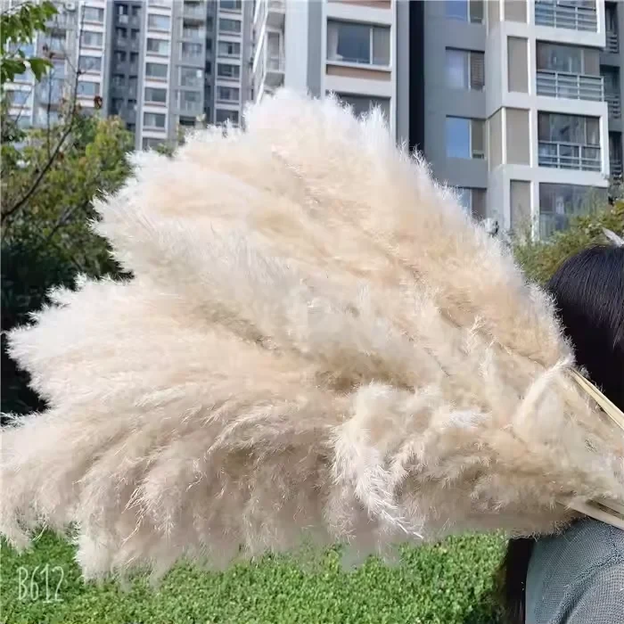 Original representative commercial visual for Hot Selling Pampas Grass Wreath Natural Dried Flower Decor for Chinese New Year Easter Real Decorative Grass in Plastic Bag.